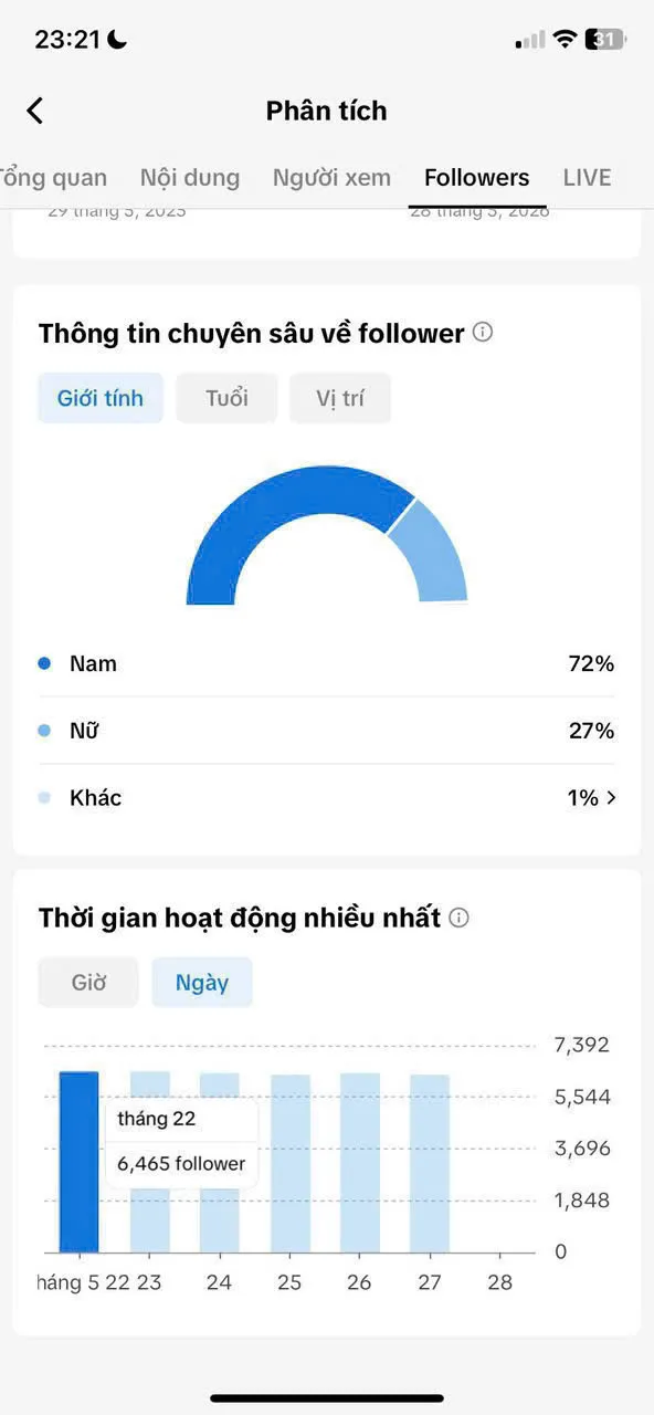Kênh Mèo Đáng Yêu 3